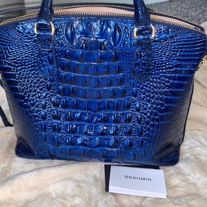 Vibrant blue Brahmin